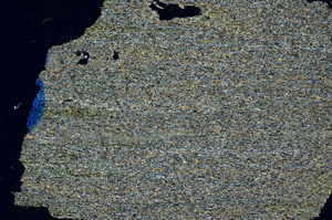 Cross Polarized, N12649