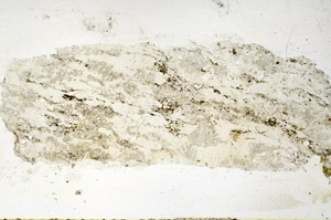 Plane Polarized, N12650