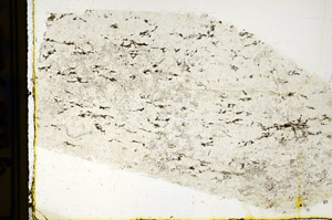 Plane Polarized, N12653