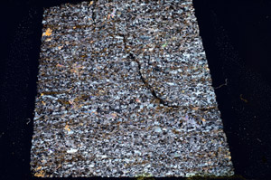 Cross Polarized, N12661
