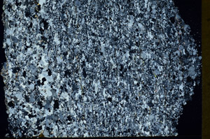 Cross Polarized, N12663