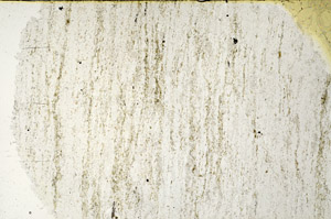 Plane Polarized, N12664