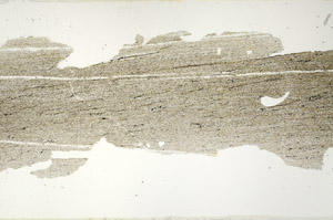 Plane Polarized, N12665