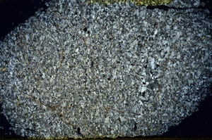 Cross Polarized, N12666
