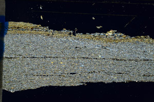 Cross Polarized, N12667