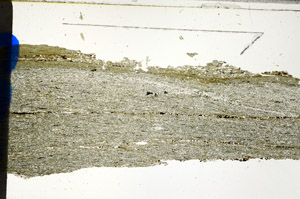 Plane Polarized, N12667