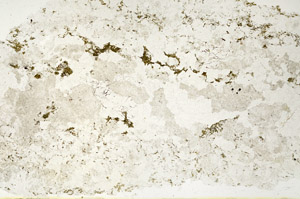 Plane Polarized, N12668