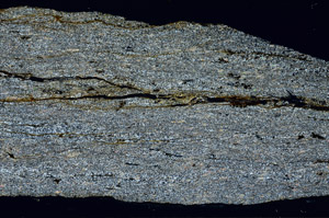 Cross Polarized, N12673