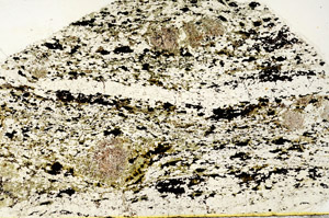 Plane Polarized, N12674