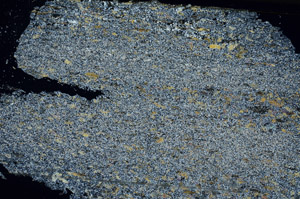 Cross Polarized, N12677