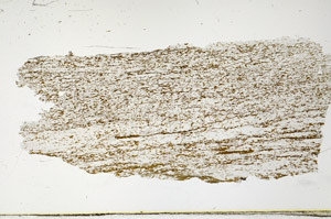 Plane Polarized, N12683