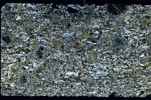 Cross Polarized, N12685