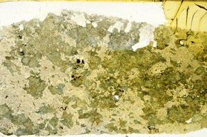 Plane Polarized, N12689