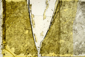 Plane Polarized, N12690