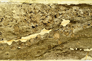 Plane Polarized, N12692