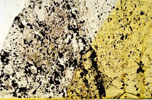Plane Polarized, N12695