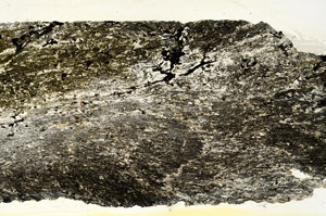 Plane Polarized, N12696
