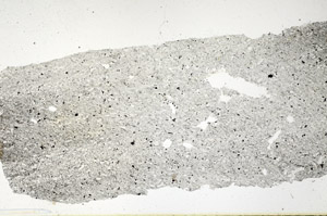 Plane Polarized, N12697