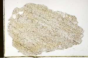 Plane Polarized, N12700