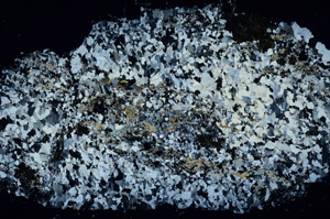 Cross Polarized, N12701