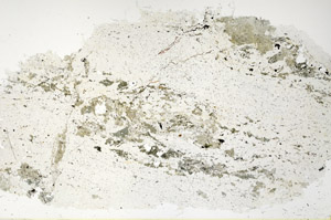 Plane Polarized, N12701