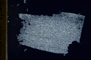 Cross Polarized, N12702