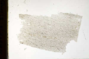 Plane Polarized, N12702