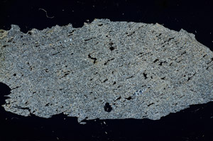 Cross Polarized, N12703