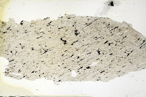 Plane Polarized, N12703