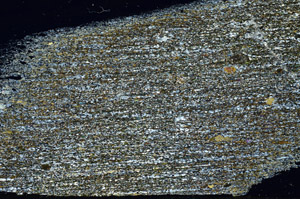 Cross Polarized, N12704