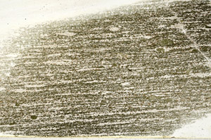 Plane Polarized, N12704