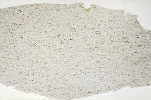 Plane Polarized, N12705