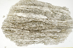 Plane Polarized, N12707