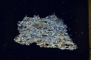 Cross Polarized, N12708