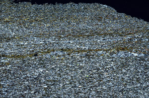 Cross Polarized, N12710