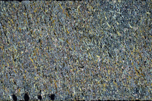 Cross Polarized, N12711