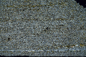 Cross Polarized, N12713