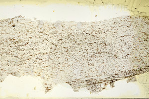 Plane Polarized, N12717