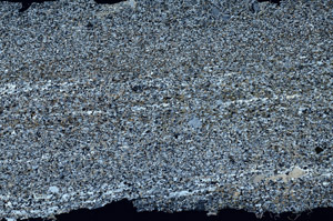 Cross Polarized, N12720