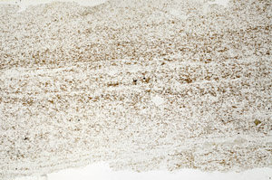Plane Polarized, N12720