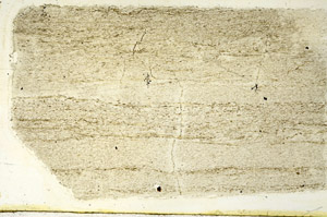 Plane Polarized, N12722