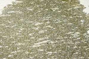 Plane Polarized, N12725