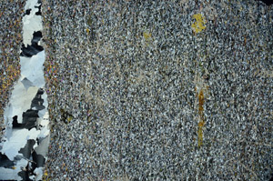 Cross Polarized, N12727