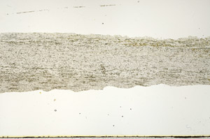 Plane Polarized, N12730