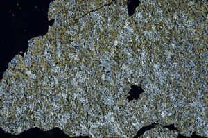 Cross Polarized, N12731
