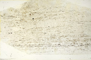 Plane Polarized, N12732