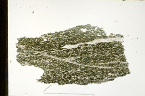 Plane Polarized, N12733