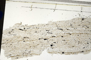 Plane Polarized, N12739
