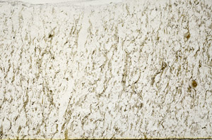 Plane Polarized, N12740