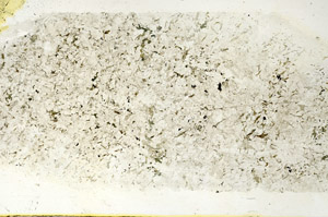 Plane Polarized, N12741